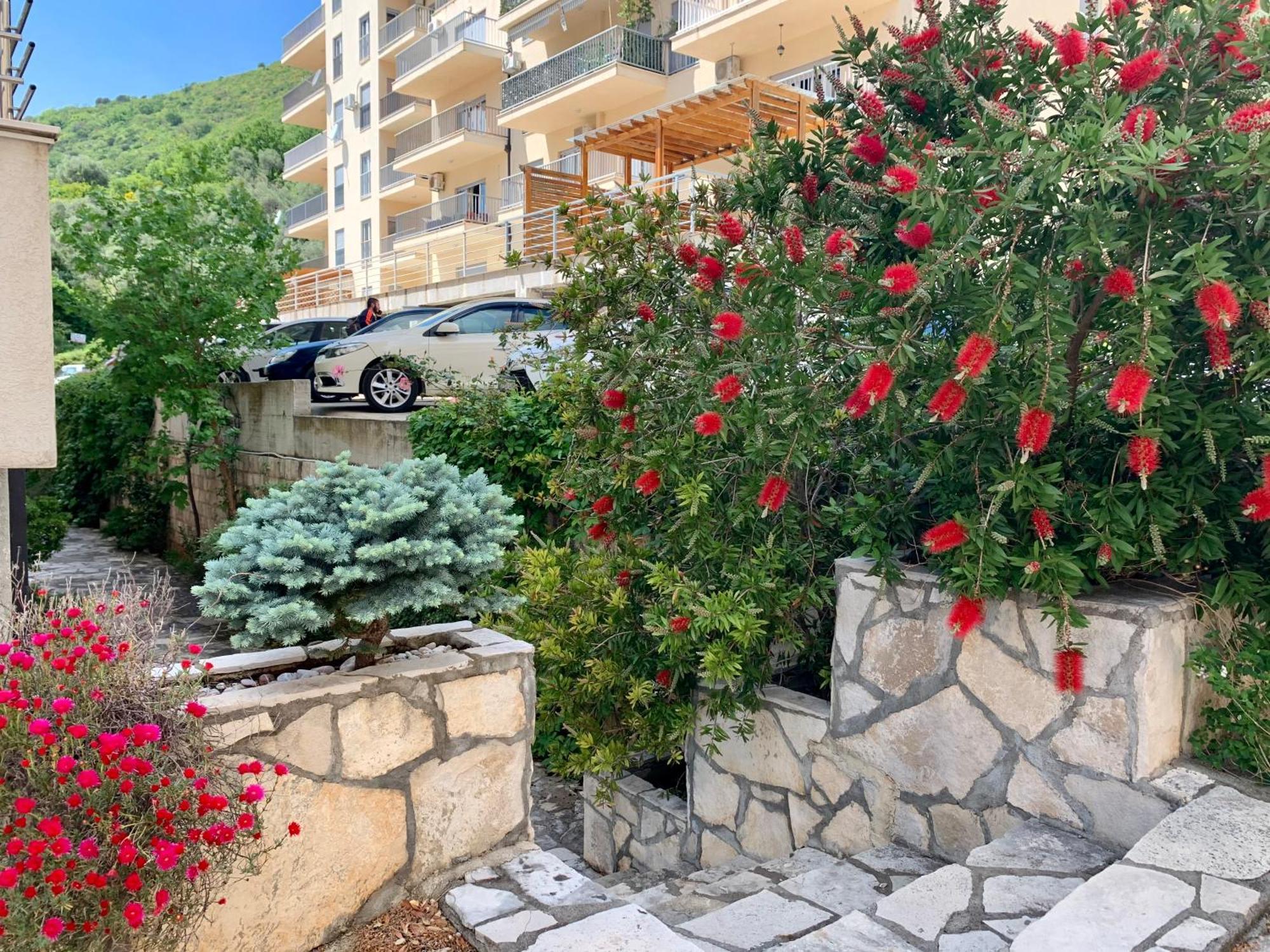 Best View Apartment Petrovac ภายนอก รูปภาพ
